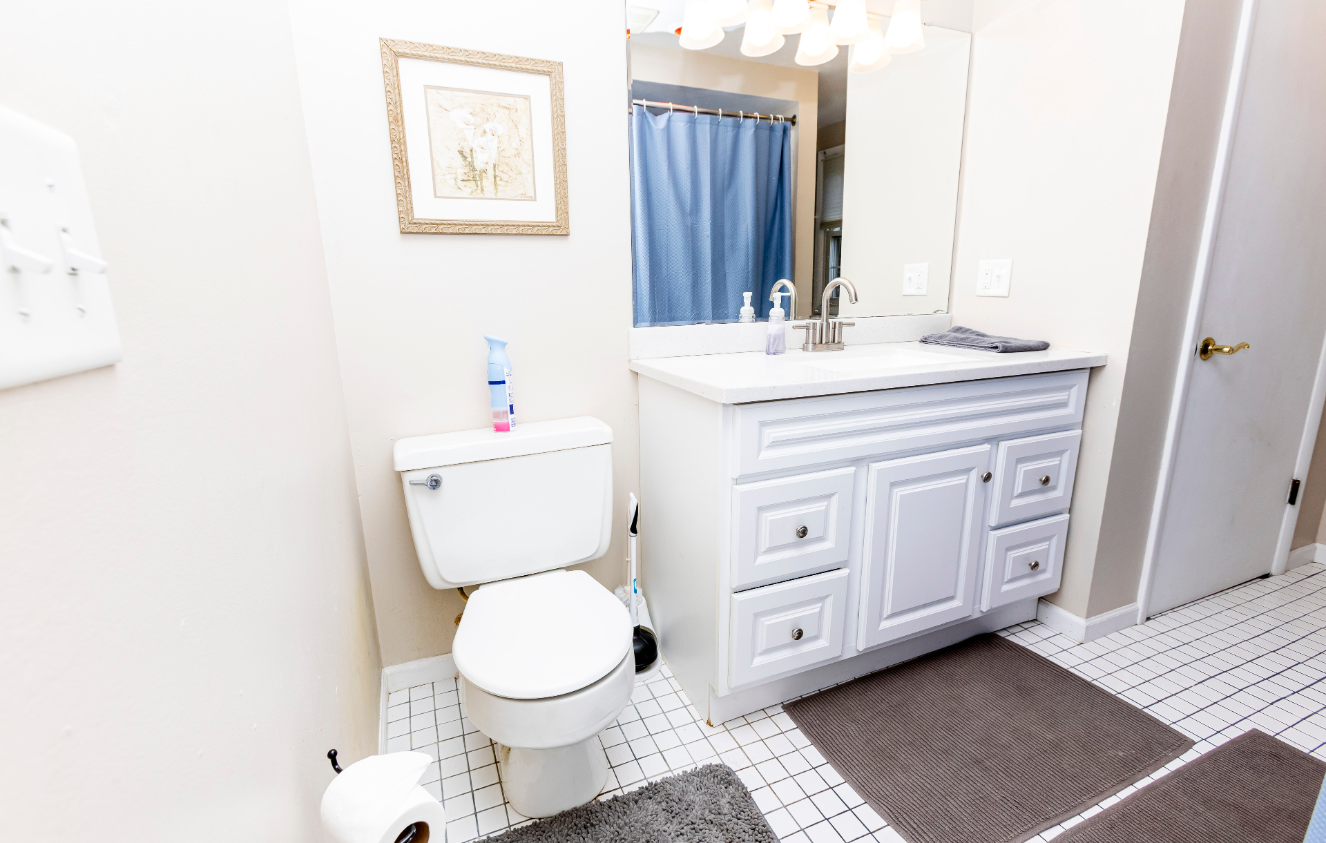 Full bathroom with bright white vanity and mirrored sink area